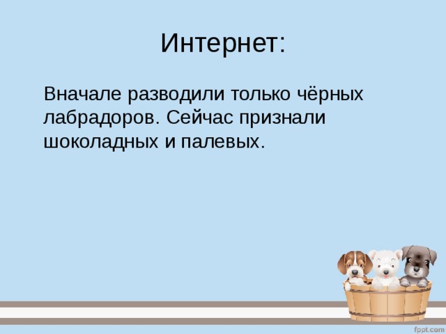 Интернет:  Вначале разводили только чёрных лабрадоров. Сейчас признали шоколадных и палевых. 