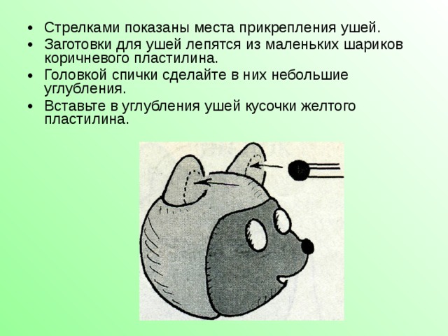 Стрелками показаны места прикрепления ушей. Заготовки для ушей лепятся из маленьких шариков коричневого пластилина. Головкой спички сделайте в них небольшие углубления. Вставьте в углубления ушей кусочки желтого пластилина.  