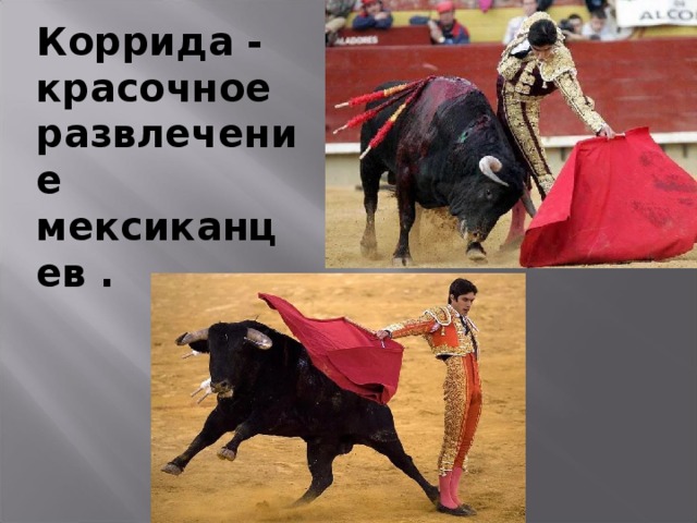 Коррида - красочное развлечение мексиканцев . 