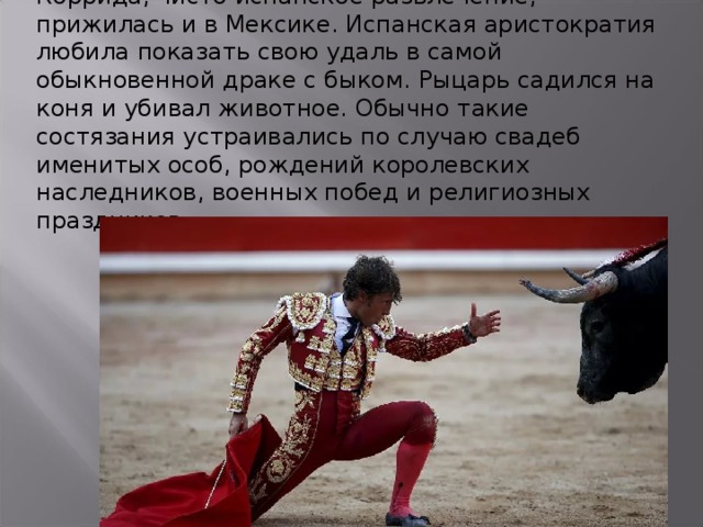 Коррида, чисто испанское развлечение, прижилась и в Мексике. Испанская аристократия любила показать свою удаль в самой обыкновенной драке с быком. Рыцарь садился на коня и убивал животное. Обычно такие состязания устраивались по случаю свадеб именитых особ, рождений королевских наследников, военных побед и религиозных праздников. 