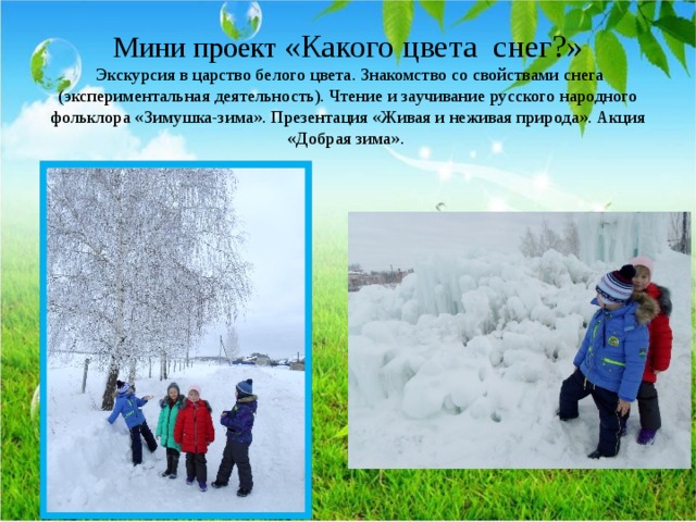 Мини проект «Какого цвета снег?»  Экскурсия в царство белого цвета. Знакомство со свойствами снега (экспериментальная деятельность). Чтение и заучивание русского народного фольклора «Зимушка-зима». Презентация «Живая и неживая природа». Акция «Добрая зима». 