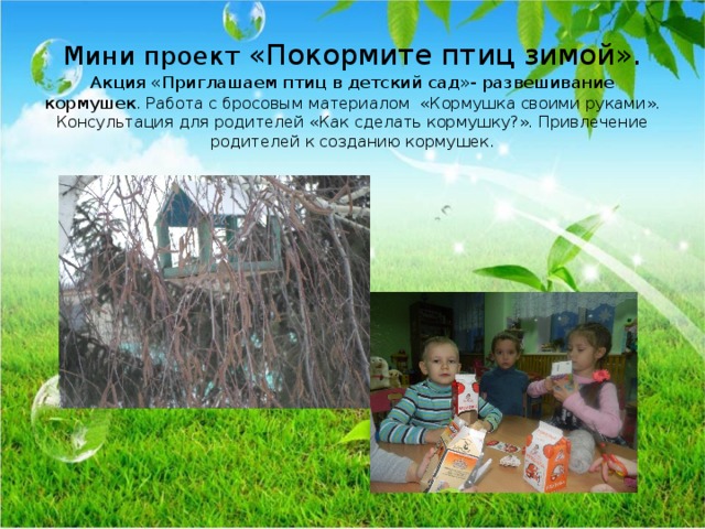 Мини проект «Покормите птиц зимой».  Акция «Приглашаем птиц в детский сад»- развешивание кормушек . Работа с бросовым материалом «Кормушка своими руками». Консультация для родителей «Как сделать кормушку?». Привлечение родителей к созданию кормушек. 