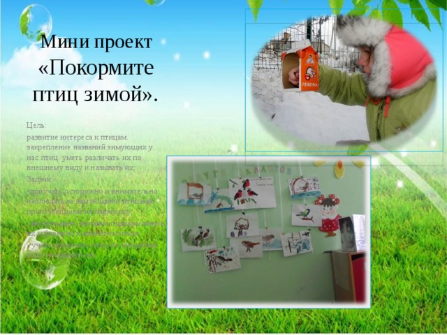 Мини проект «Покормите птиц зимой». Цель: развитие интереса к птицам. закрепление названий зимующих у нас птиц. уметь различать их по внешнему виду и называть их; Задачи: -приучать осторожно и внимательно наблюдать за зимующими птицами, прилетающими на кормушку; - воспитывать желание подкармливать их и бережно к ним относиться. - учить различать птиц по внешнему виду и называть их. - 