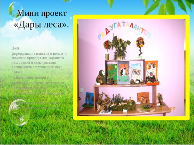 Мини проект «Дары леса». Цель: формирование понятия о пользе и значение природы для хорошего настроения и самочувствия, воспитывать эстетический вкус. Задачи: - закрепление знаний о хвойных и лиственных деревьях; - развивать фантазию; - учить использовать природный материал; - формировать представление о разнообразии природы в лесу. 
