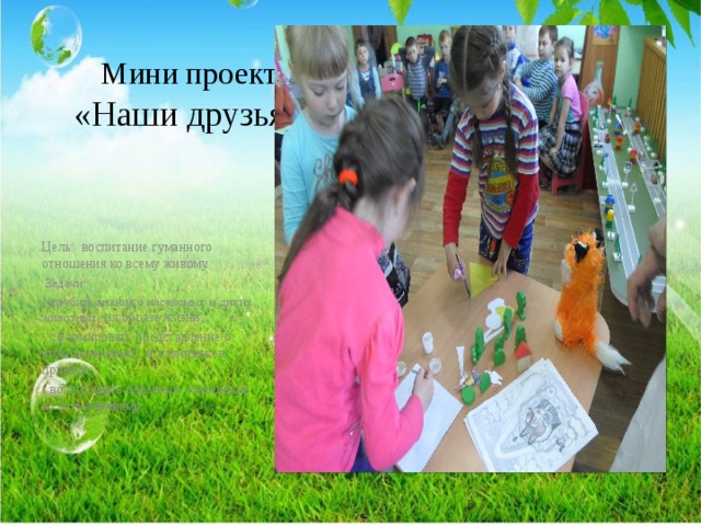 Мини проект  «Наши друзья». Цель: воспитание гуманного отношения ко всему живому.  Задачи: -углубить знания о насекомых и диких животных , их образе жизни; - сформировать представление о роли насекомых и животных в природе; - воспитывать бережное отношение ко всему живому. 