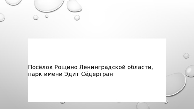 Адрес: П осёлок Рощино Ленинградской области, парк имени Эдит Сёдергран 