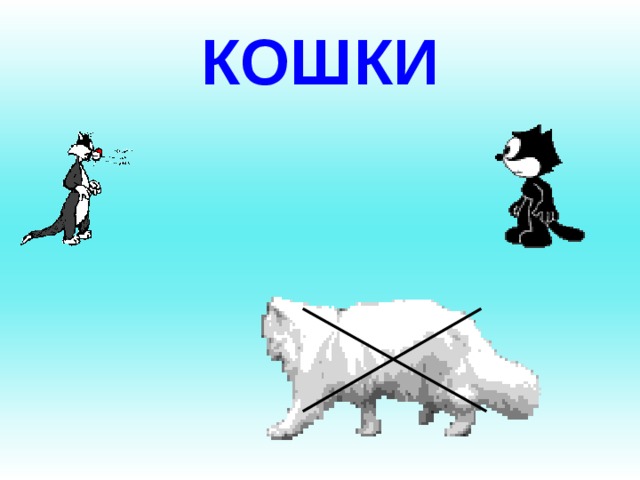 КОШКИ 