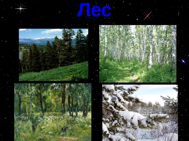 Лес 