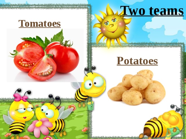 Two teams Tomatoes Potatoes 