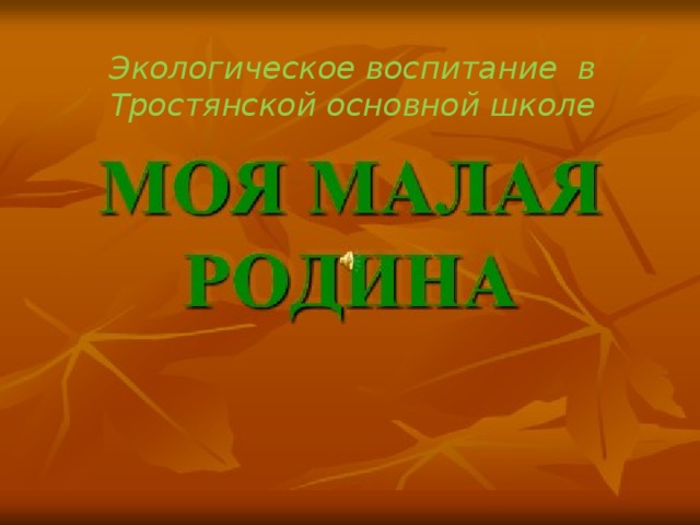 Экологическое воспитание в Тростянской основной школе   