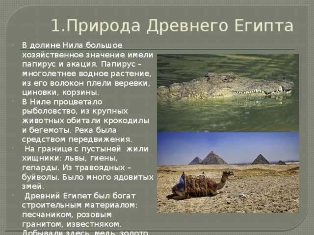 1.Природа Древнего Египта В долине Нила большое хозяйственное значение имели папирус и акация. Папирус – многолетнее водное растение, из его волокон плели веревки, циновки, корзины. В Ниле процветало рыболовство, из крупных животных обитали крокодилы и бегемоты. Река была средством передвижения.  На границе с пустыней жили хищники: львы, гиены, гепарды. Из травоядных – буйволы. Было много ядовитых змей.  Древний Египет был богат строительным материалом: песчаником, розовым гранитом, известняком. Добывали здесь медь, золото. 