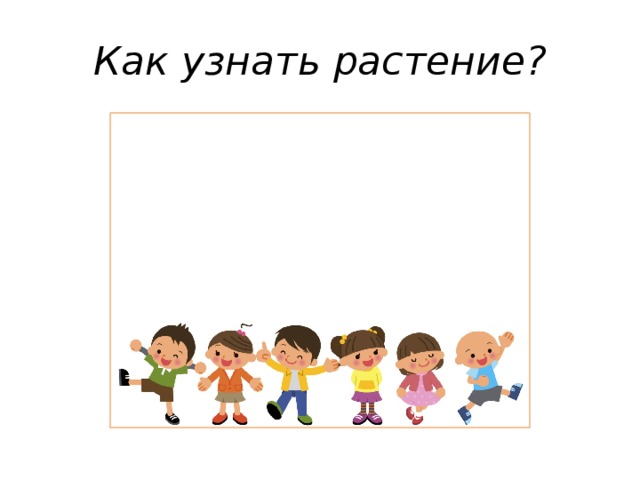Как узнать растение? 