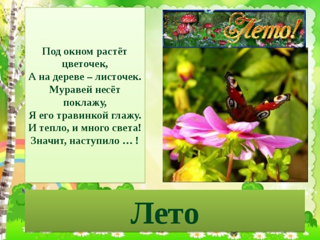Под окном растёт цветочек,  А на дереве – листочек.  Муравей несёт поклажу,  Я его травинкой глажу.  И тепло, и много света!  Значит, наступило … ! Лето 