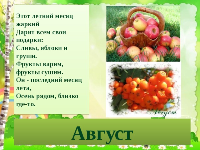 Этот летний месяц жаркий Дарит всем свои подарки: Сливы, яблоки и груши. Фрукты варим, фрукты сушим. Он - последний месяц лета, Осень рядом, близко где-то. Август 