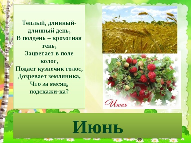 Теплый, длинный-длинный день,  В полдень – крохотная тень,  Зацветает в поле колос,  Подает кузнечик голос,  Дозревает земляника,  Что за месяц, подскажи-ка? Июнь 