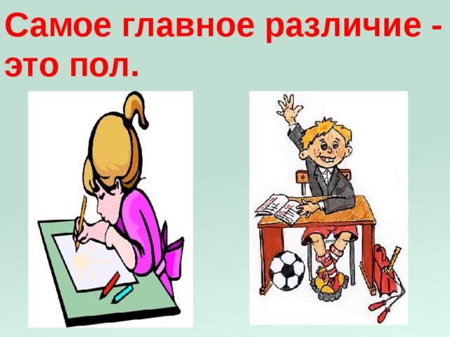 Самое главное различие - это пол. 
