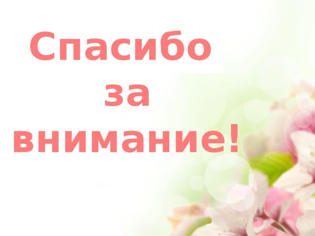 Спасибо  за  внимание! 