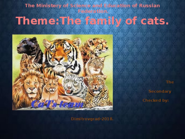 The Ministery of Science and Education of Russian  Federation.  Theme:The family of cats.    Fulfilled by  Shilina Arina  The student of  The 11 th grade  Secondary school №23  Checked by: Rasulova.N.A     Dimitrovgrad-2018.   