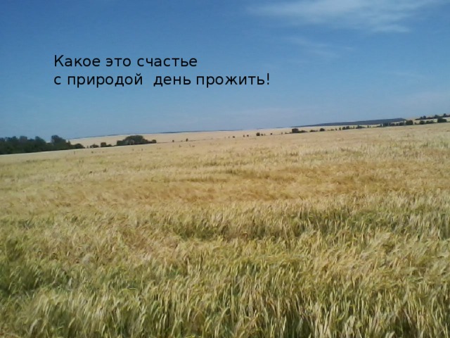 Какое это счастье  с природой день прожить!   