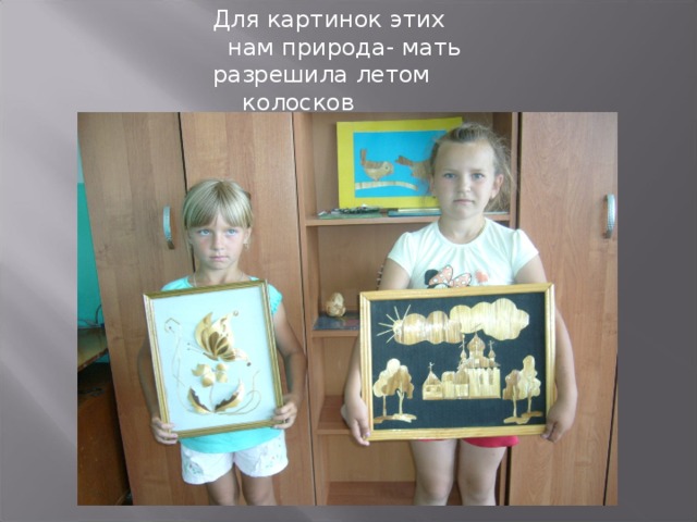 Для картинок этих  нам природа- мать  разрешила летом  колосков нарвать.   