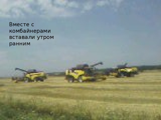 Вместе с комбайнерами  вставали утром ранним   