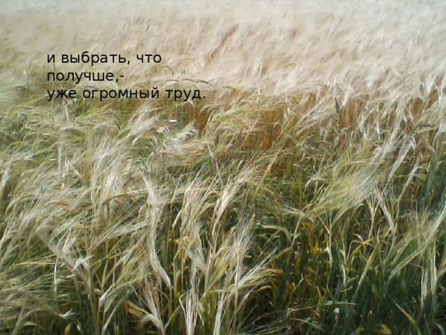 и выбрать, что получше,-  уже огромный труд. 