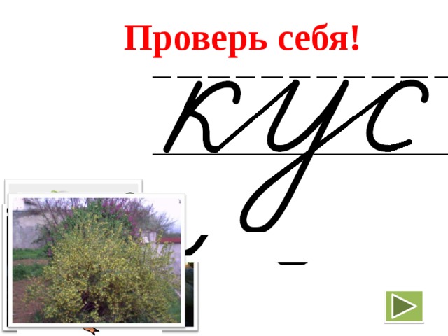  Проверь себя!  