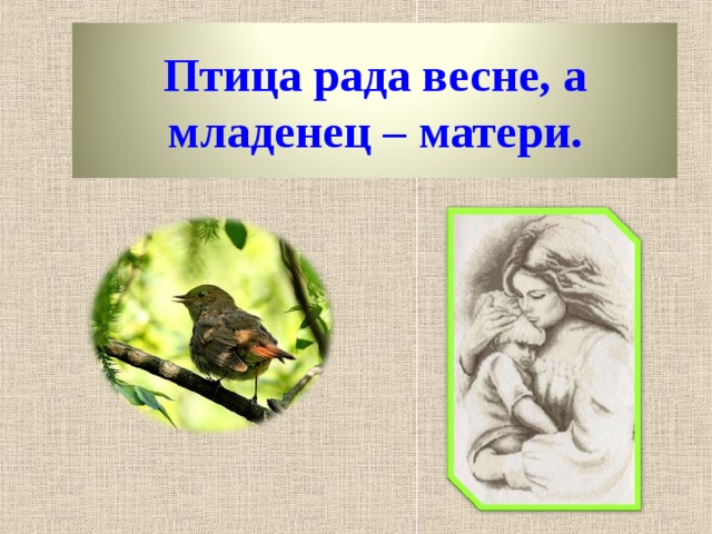 Птица рада весне, а младенец – матери. 13 
