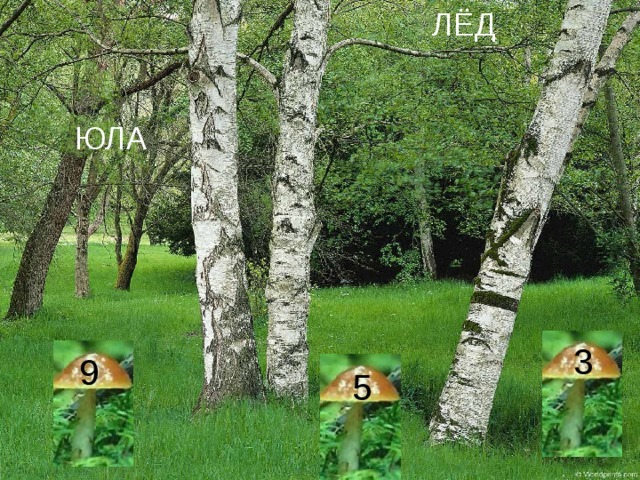 ЛЁД ЮЛА 3 9 5 