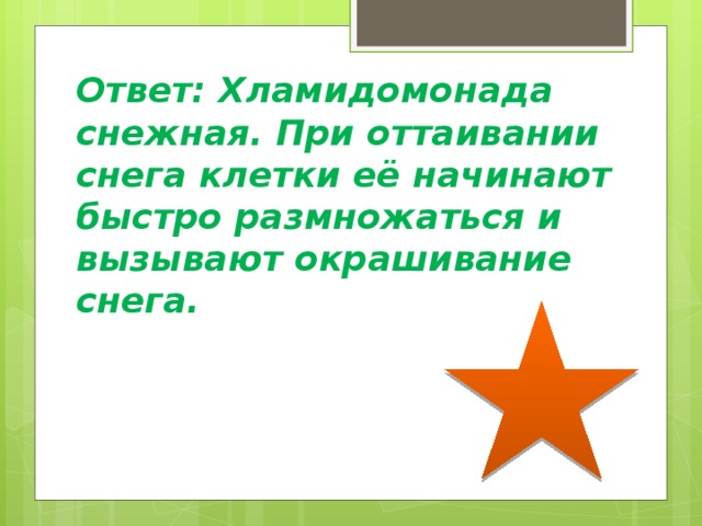 Ответ: Хламидомонада снежная. При оттаивании снега клетки её начинают быстро размножаться и вызывают окрашивание снега.   