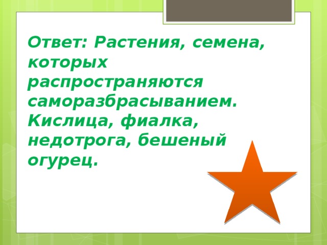 Ответ: Растения, семена, которых распространяются саморазбрасыванием. Кислица, фиалка, недотрога, бешеный огурец. 