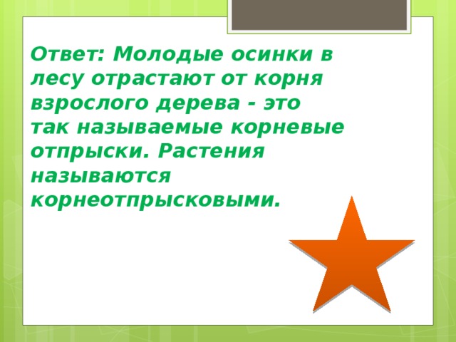Ответ: Молодые осинки в лесу отрастают от корня взрослого дерева - это так называемые корневые отпрыски. Растения называются корнеотпрысковыми. 