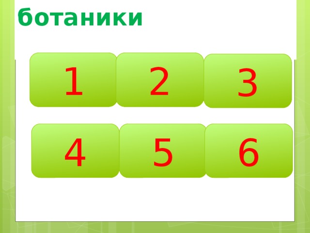 Из области ботаники    1 2 3 4 5 6 