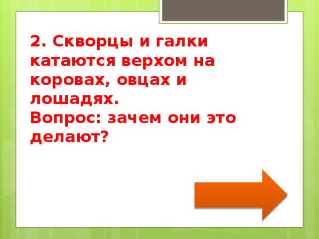 2. Скворцы и галки катаются верхом на коровах, овцах и лошадях. Вопрос: зачем они это делают? 