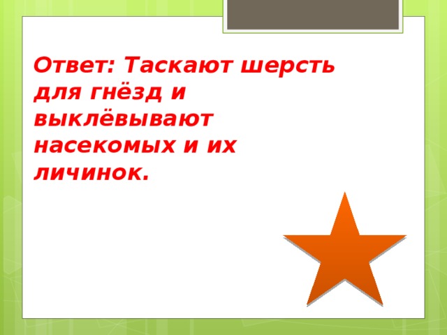 Ответ: Таскают шерсть для гнёзд и выклёвывают насекомых и их личинок. 