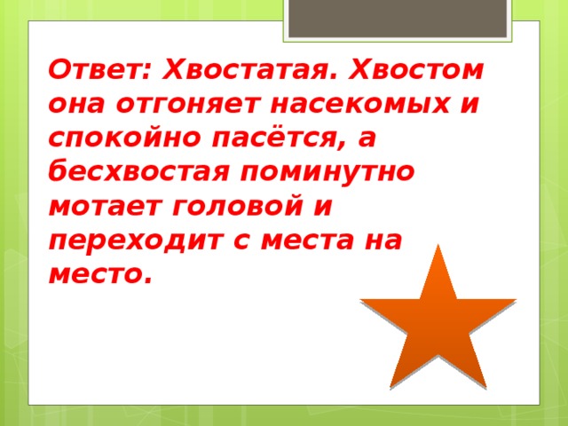 Ответ: Хвостатая. Хвостом она отгоняет насекомых и спокойно пасётся, а бесхвостая поминутно мотает головой и переходит с места на место. 