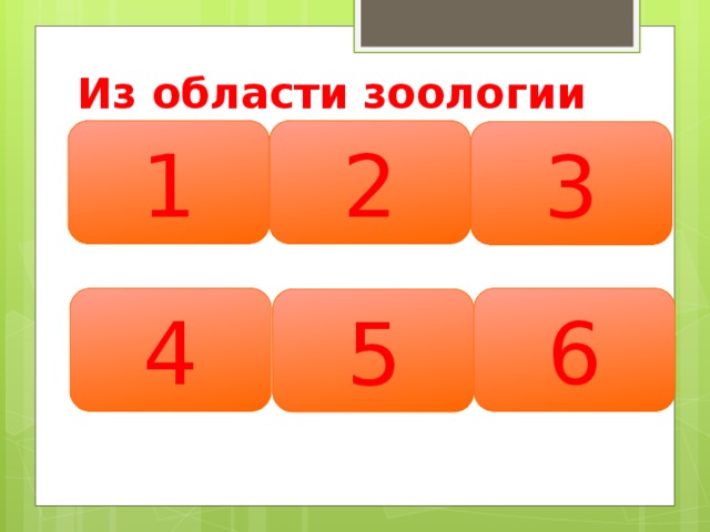 Из области зоологии 1 2 3 4 6 5 