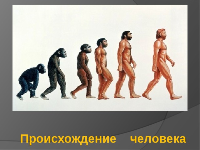 Происхождение человека 