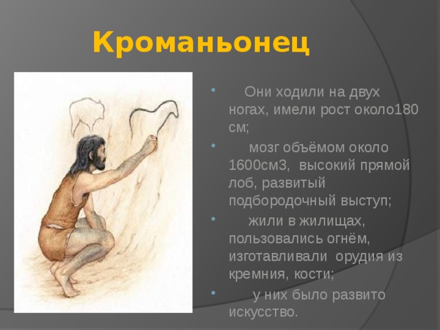 Кроманьонец  Они ходили на двух ногах, имели рост около180 см;  мозг объёмом около 1600см3, высокий прямой лоб, развитый подбородочный выступ;  жили в жилищах, пользовались огнём, изготавливали орудия из кремния, кости;  у них было развито искусство. 