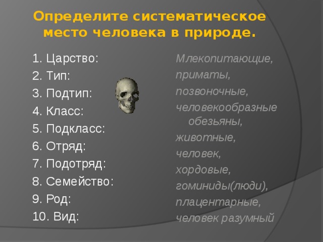 Определите систематическое место человека в природе.   1. Царство: Млекопитающие, 2. Тип: приматы, 3. Подтип: позвоночные, 4. Класс: человекообразные обезьяны, животные, 5. Подкласс: человек, 6. Отряд: хордовые, 7. Подотряд: гоминиды(люди), 8. Семейство: плацентарные, 9. Род: человек разумный 10. Вид: 