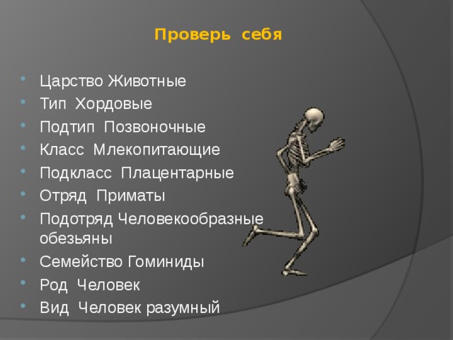 Проверь себя   Царство Животные Тип Хордовые Подтип Позвоночные Класс Млекопитающие Подкласс Плацентарные Отряд Приматы Подотряд Человекообразные обезьяны Семейство Гоминиды Род Человек Вид Человек разумный  