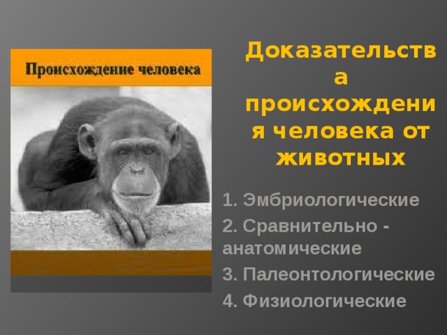 Доказательства происхождения человека от животных 1. Эмбриологические 2. Сравнительно - анатомические 3. Палеонтологические 4. Физиологические 