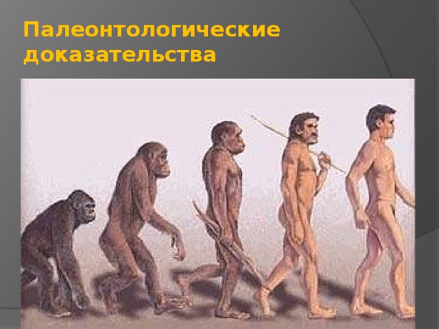 Палеонтологические доказательства 