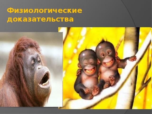 Физиологические доказательства 