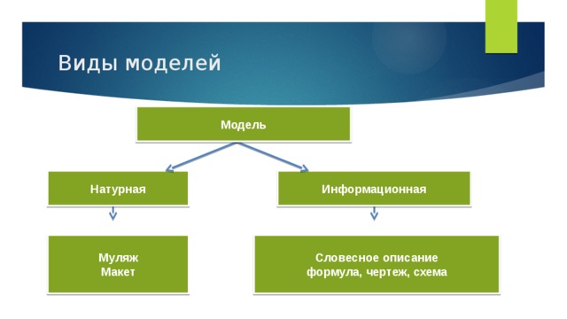 Виды моделей Модель Натурная Информационная Муляж Словесное описание Макет формула, чертеж, схема 
