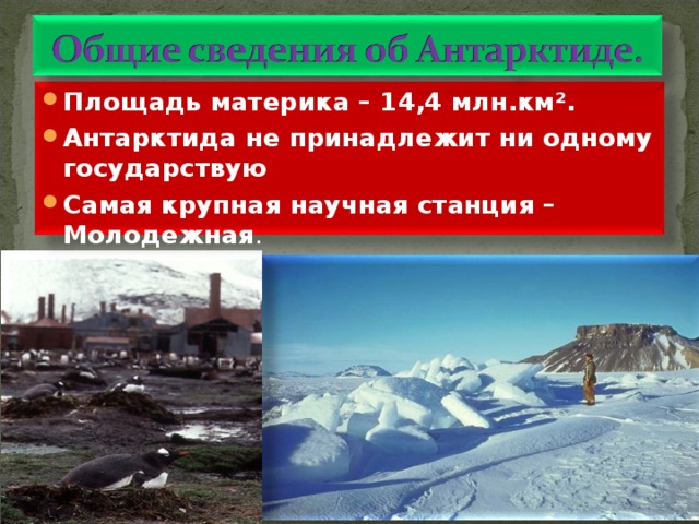 Площадь материка – 14,4 млн.км ² . Антарктида не принадлежит ни одному государствую Самая крупная научная станция – Молодежная . 