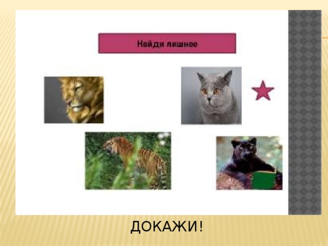 Докажи! 