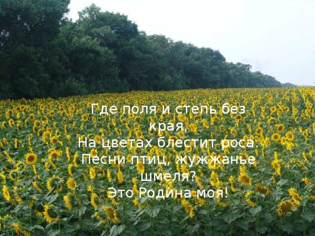 Где поля и степь без края, На цветах блестит роса. Песни птиц, жужжанье шмеля? Это Родина моя! 