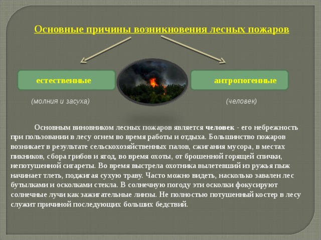 Основные причины возникновения лесных пожаров естественные антропогенные  (человек) (молния и засуха)              Основным виновником лесных пожаров является человек - его небрежность при пользовании в лесу огнем во время работы и отдыха. Большинство пожаров возникает в результате сельскохозяйственных палов, сжигания мусора, в местах пикников, сбора грибов и ягод, во время охоты, от брошенной горящей спички, непотушенной сигареты. Во время выстрела охотника вылетевший из ружья пыж начинает тлеть, поджигая сухую траву. Часто можно видеть, насколько завален лес бутылками и осколками стекла. В солнечную погоду эти осколки фокусируют солнечные лучи как зажигательные линзы. Не полностью потушенный костер в лесу служит причиной последующих больших бедствий. 