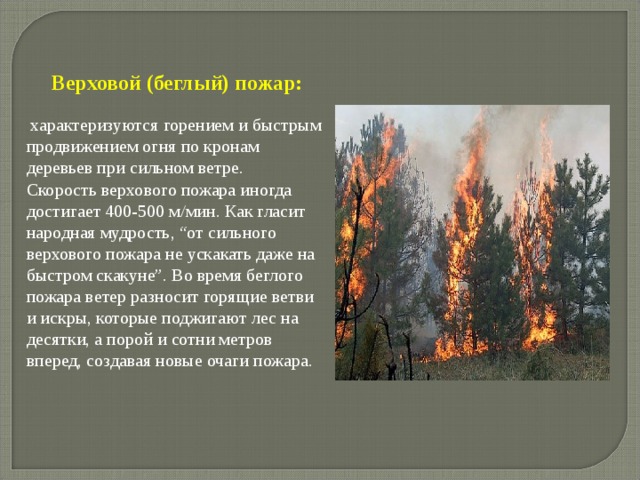 Верховой (беглый) пожар:  характеризуются горением и быстрым продвижением огня по кронам деревьев при сильном ветре. Скорость верхового пожара иногда достигает 400-500 м/мин. Как гласит народная мудрость, “от сильного верхового пожара не ускакать даже на быстром скакуне”. Во время беглого пожара ветер разносит горящие ветви и искры, которые поджигают лес на десятки, а порой и сотни метров вперед, создавая новые очаги пожара. 